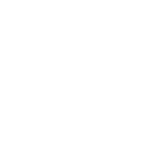 a1