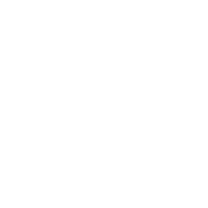 ziggo